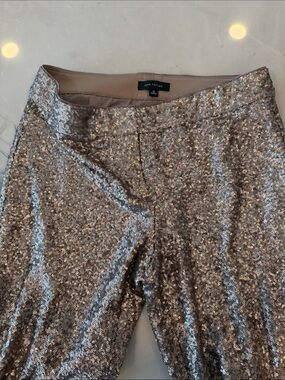 Ann Taylor Champagne Sequin Trousers